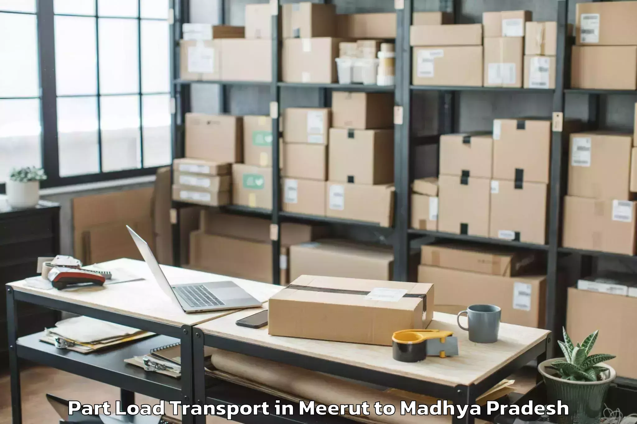 Discover Meerut to Khachrod Part Load Transport